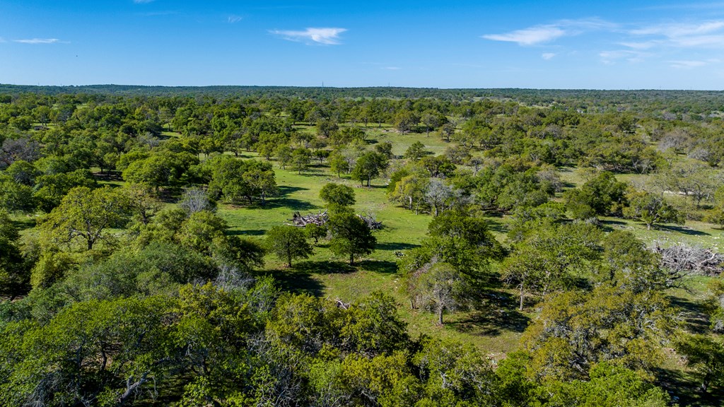 215 Dally Road, Unit 17 Comfort, TX 78013 - Photo 10 of 12 Gallery Image 10