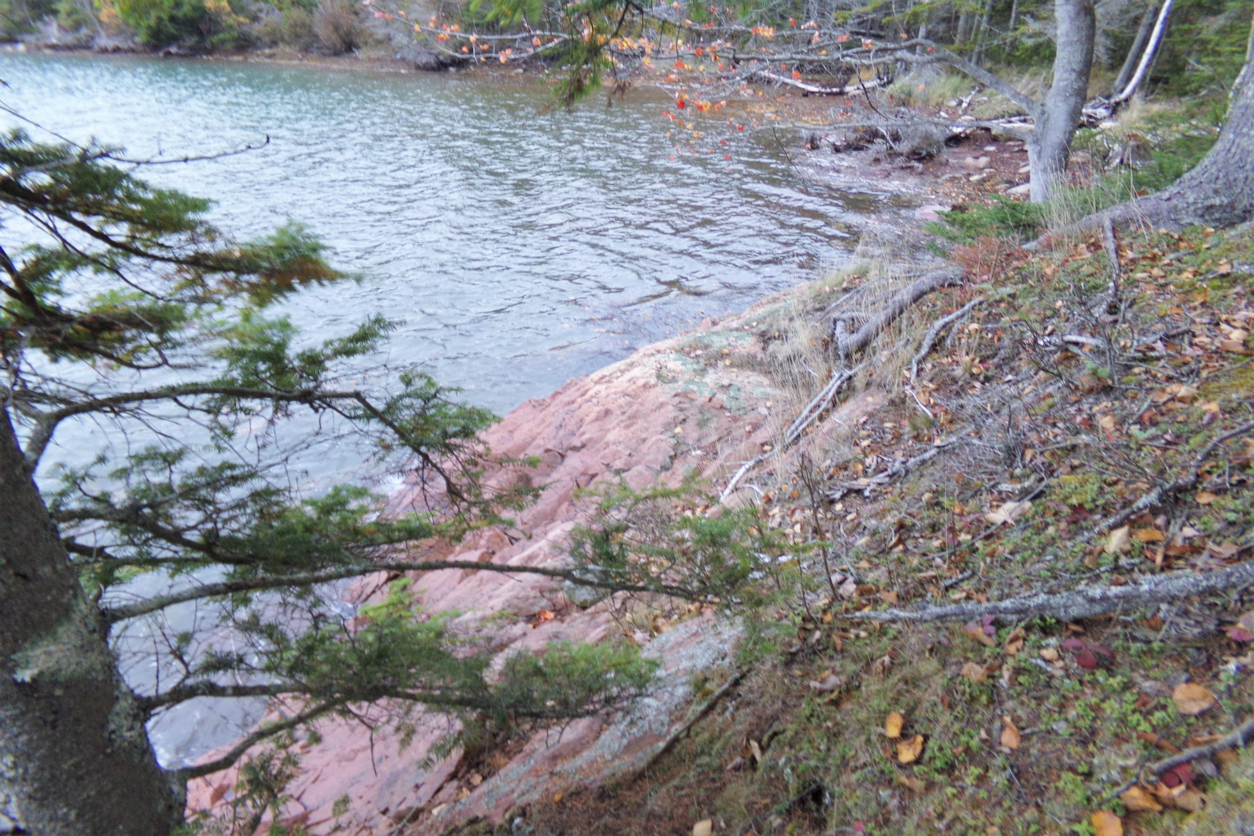 Tbd Collins Cove Road Machiasport, ME 04655 - Photo 8 of 15 8c.135_2069