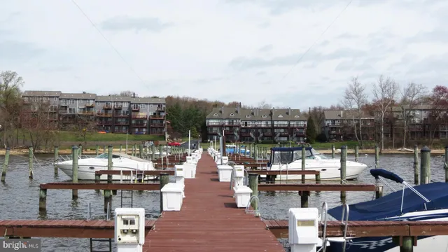 a view of a lake with a mountain in the background
