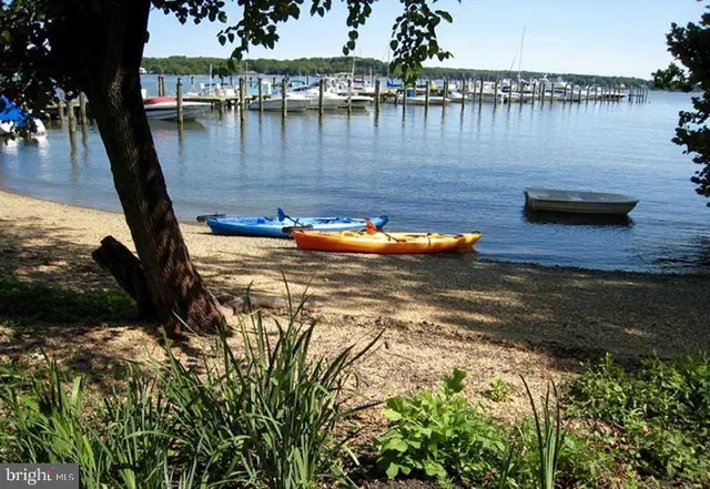 a view of a lake with boats and trees in the background