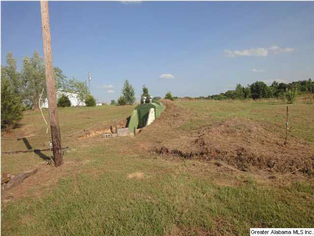 21014 Max Vintson Road Northport, AL 35475 - Photo 3 of 6