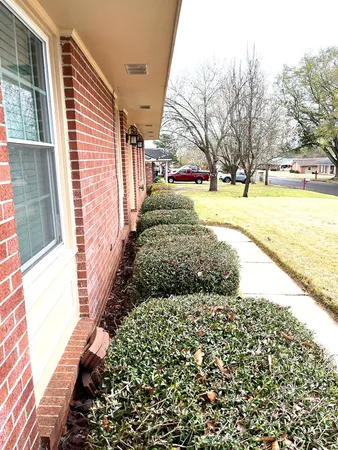 a view of backyard of the house