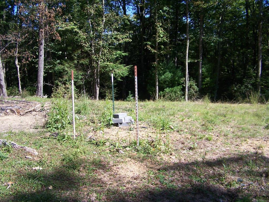 Tbd Blue Springs Road, Unit 18A2 Troutdale, VA 24378 - Photo 26 of 42 Gallery Image 26
