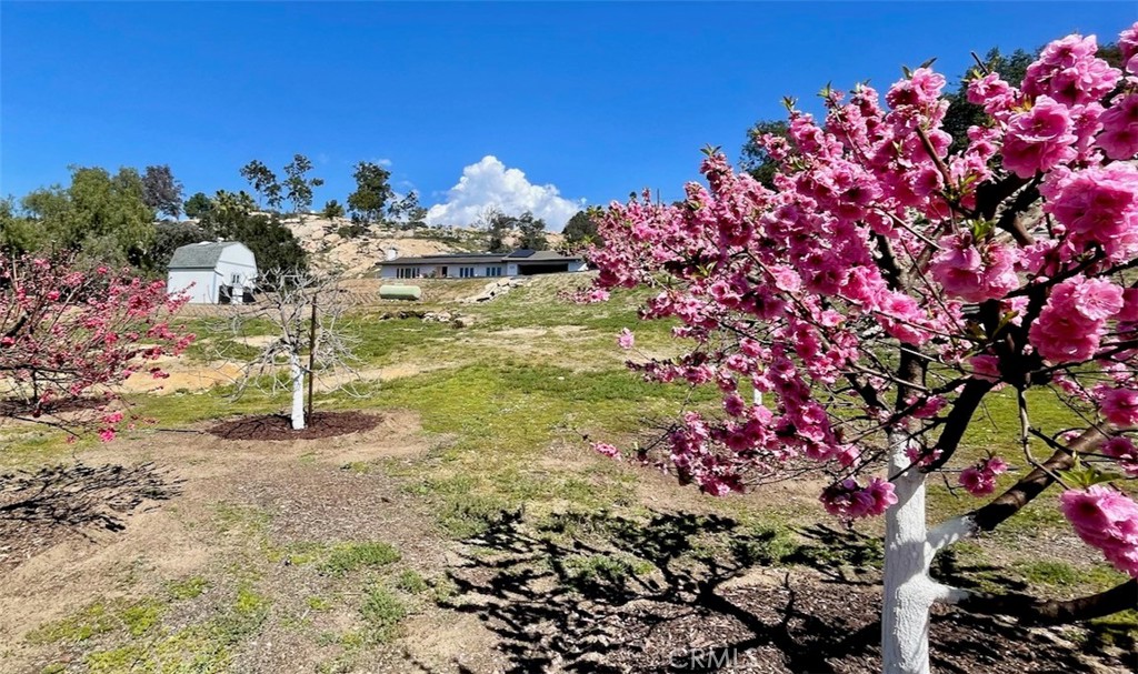 28195 Valley Center Road Valley Center, CA 92082 - Photo 1 of 1 a view of a garden with flowers