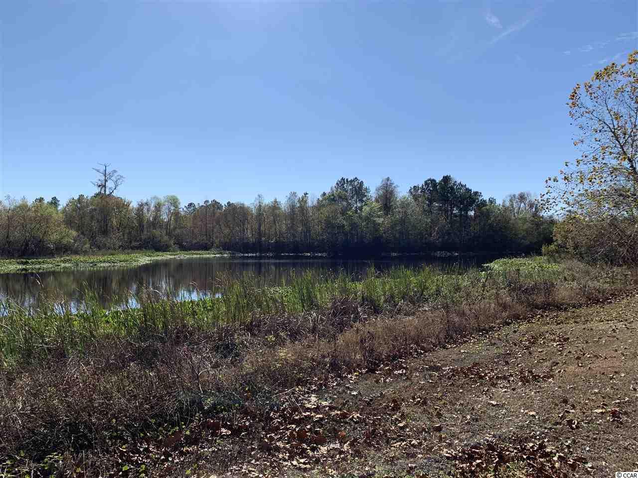 3319 New Road Conway, SC 29527 - Photo 30 of 31 Gallery Image 30