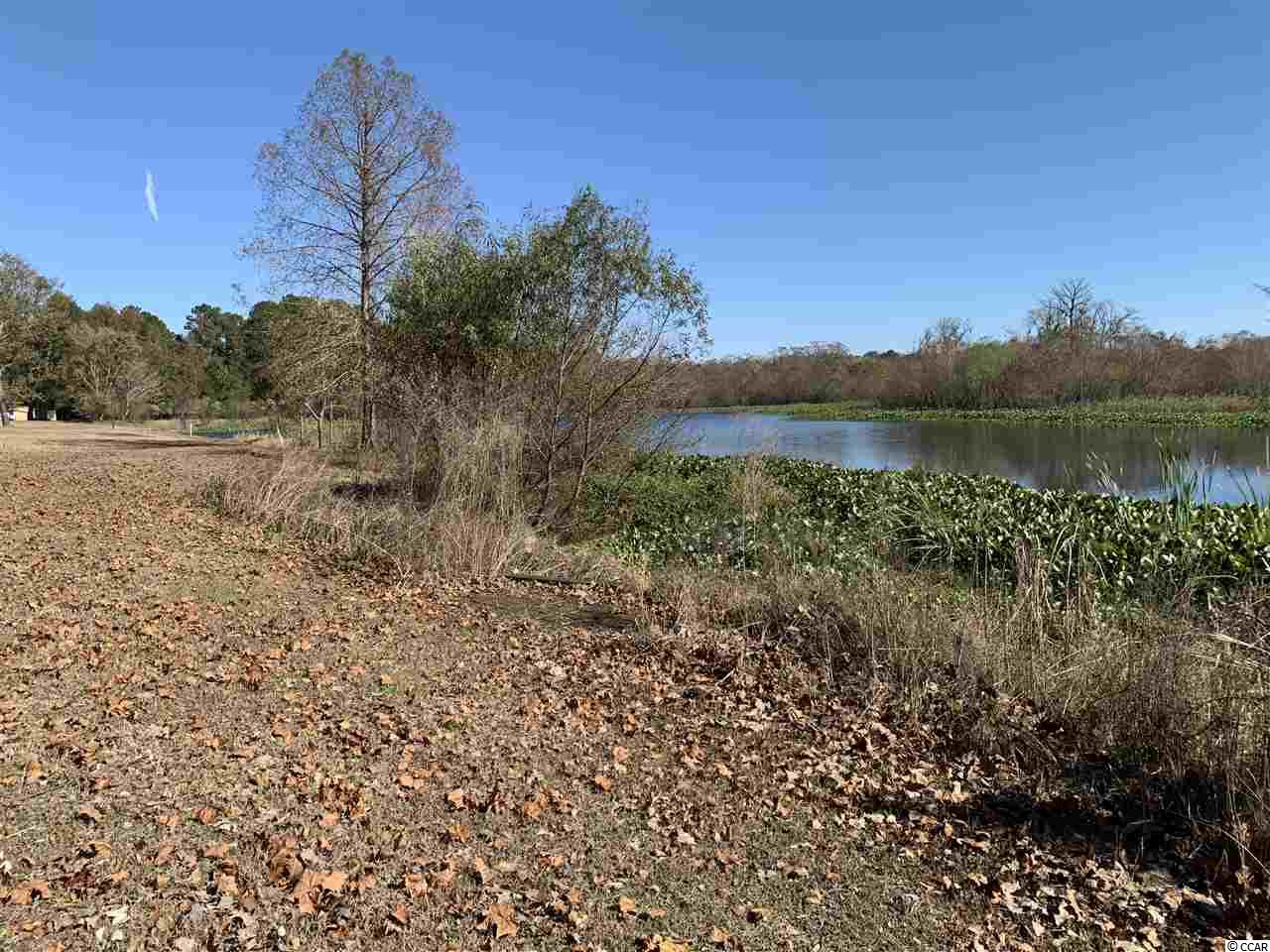3319 New Road Conway, SC 29527 - Photo 31 of 31 Gallery Image 31
