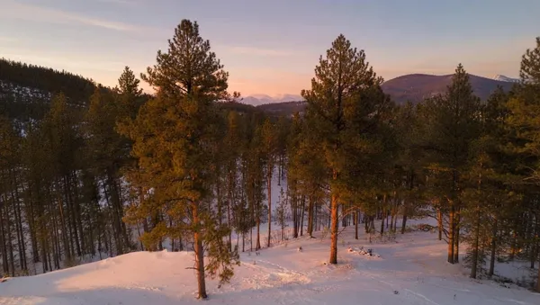 $255,000 | 7 Wilderness Trail, Newcastle, WY 82701