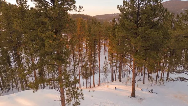 $255,000 | 7 Wilderness Trail, Newcastle, WY 82701