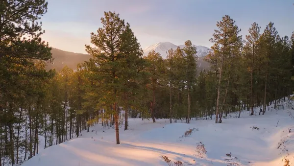 $255,000 | 7 Wilderness Trail, Newcastle, WY 82701