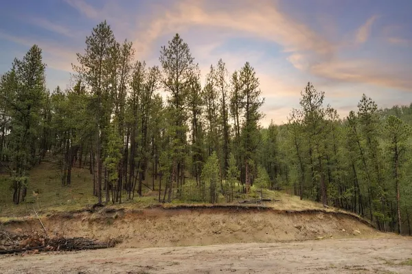 $255,000 | 7 Wilderness Trail, Newcastle, WY 82701