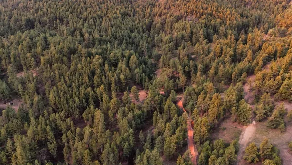 $255,000 | 7 Wilderness Trail, Newcastle, WY 82701