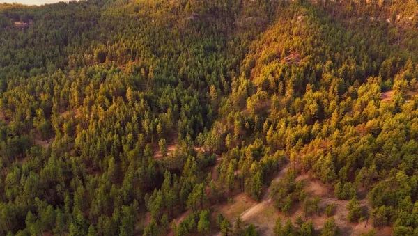 $255,000 | 7 Wilderness Trail, Newcastle, WY 82701