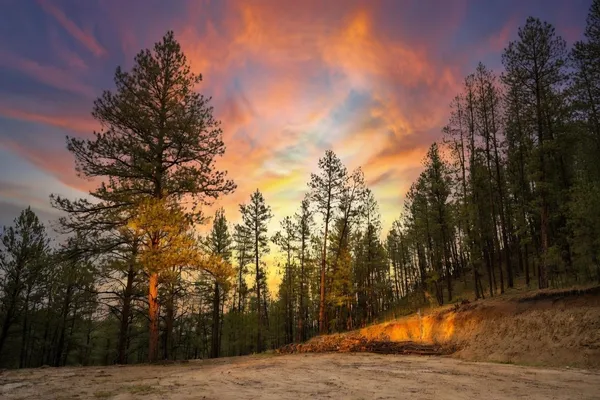 $255,000 | 7 Wilderness Trail, Newcastle, WY 82701