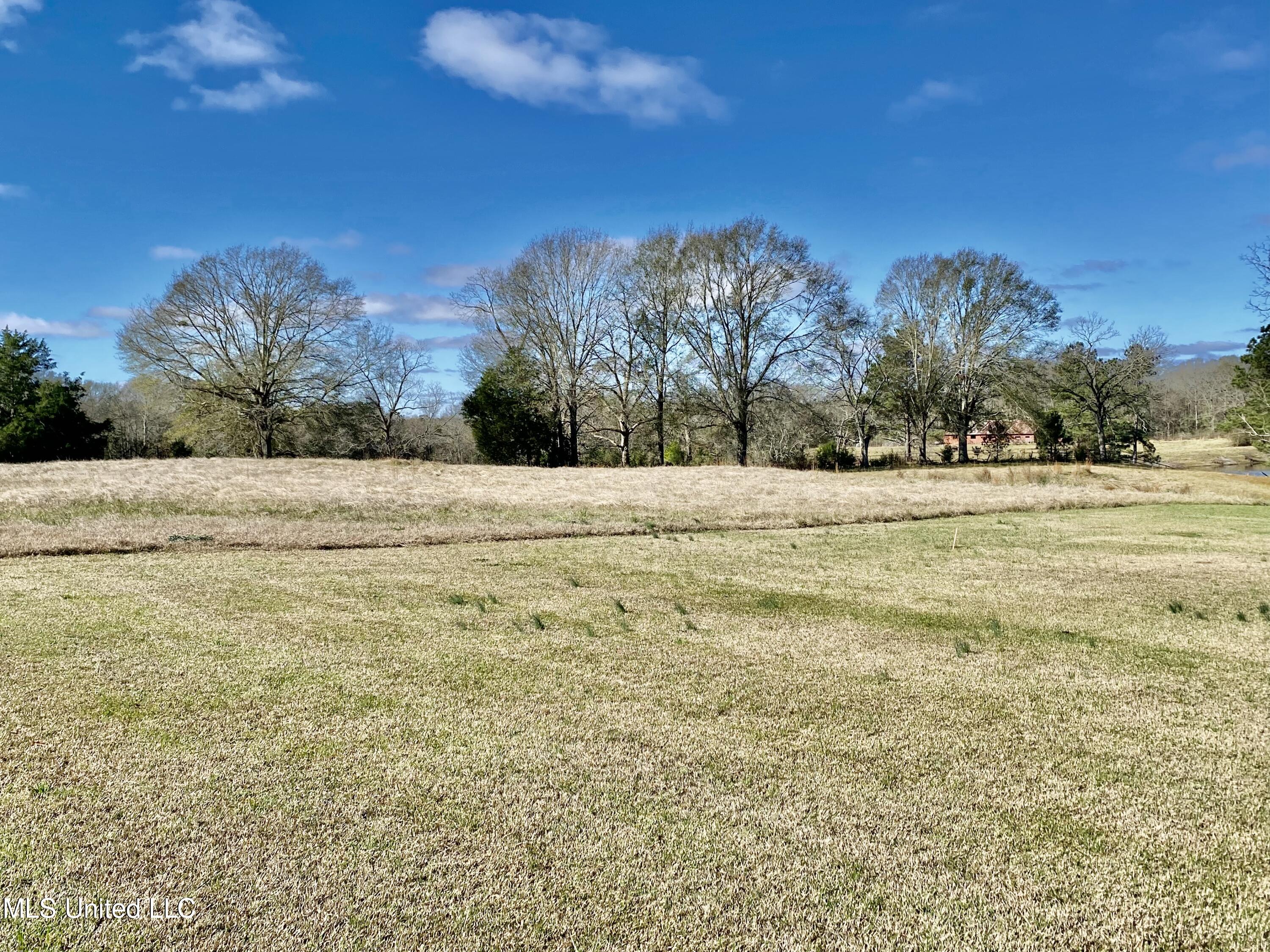 2168 Earl Knight Road Crystal Springs, MS 39059 - Photo 42 of 49 763B549C-6E2B-44BC-9BFB-CF74CF425B19