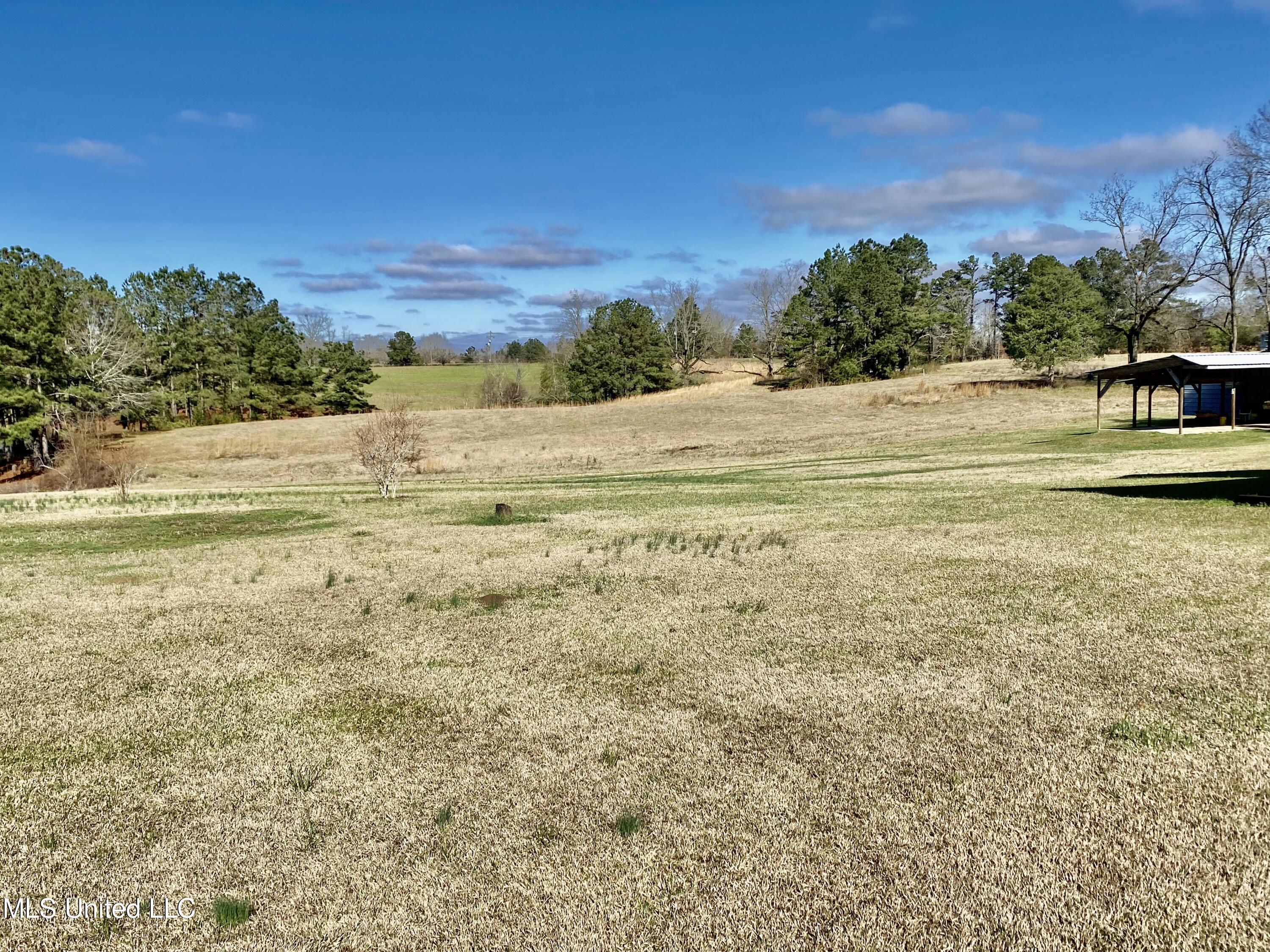2168 Earl Knight Road Crystal Springs, MS 39059 - Photo 43 of 49 40CE4F6E-D3C3-42B2-87F5-683EC1507375