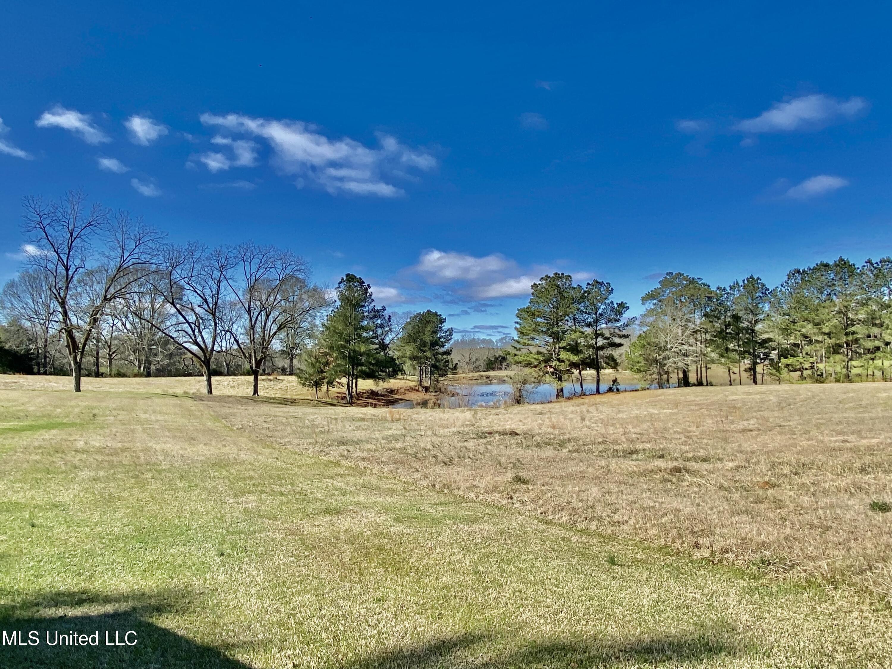 2168 Earl Knight Road Crystal Springs, MS 39059 - Photo 48 of 49 6258453B-D03F-4B26-8D17-E6083B892B14