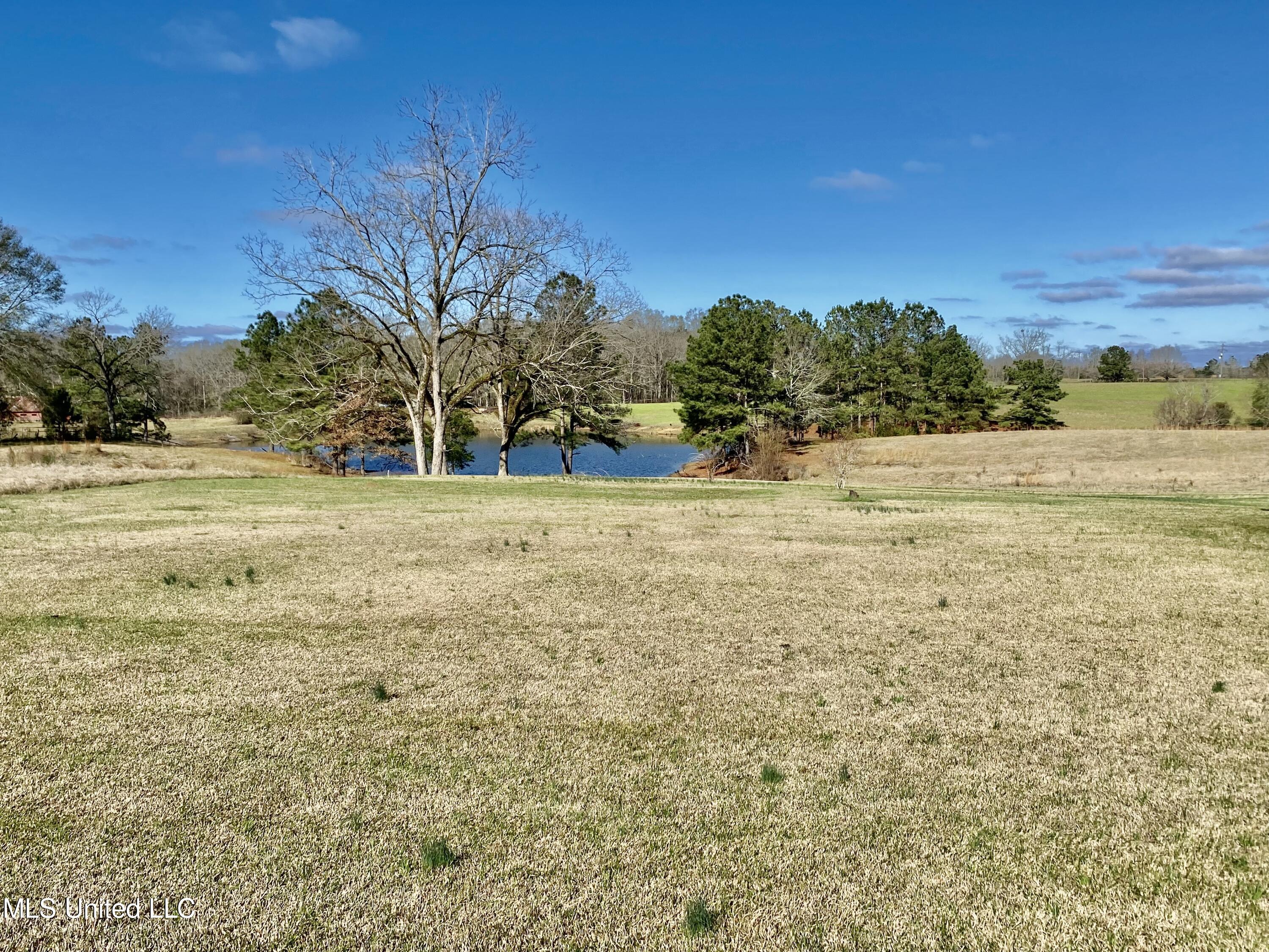 2168 Earl Knight Road Crystal Springs, MS 39059 - Photo 49 of 49 9AEB4C68-FA36-466F-B874-D8441F037916
