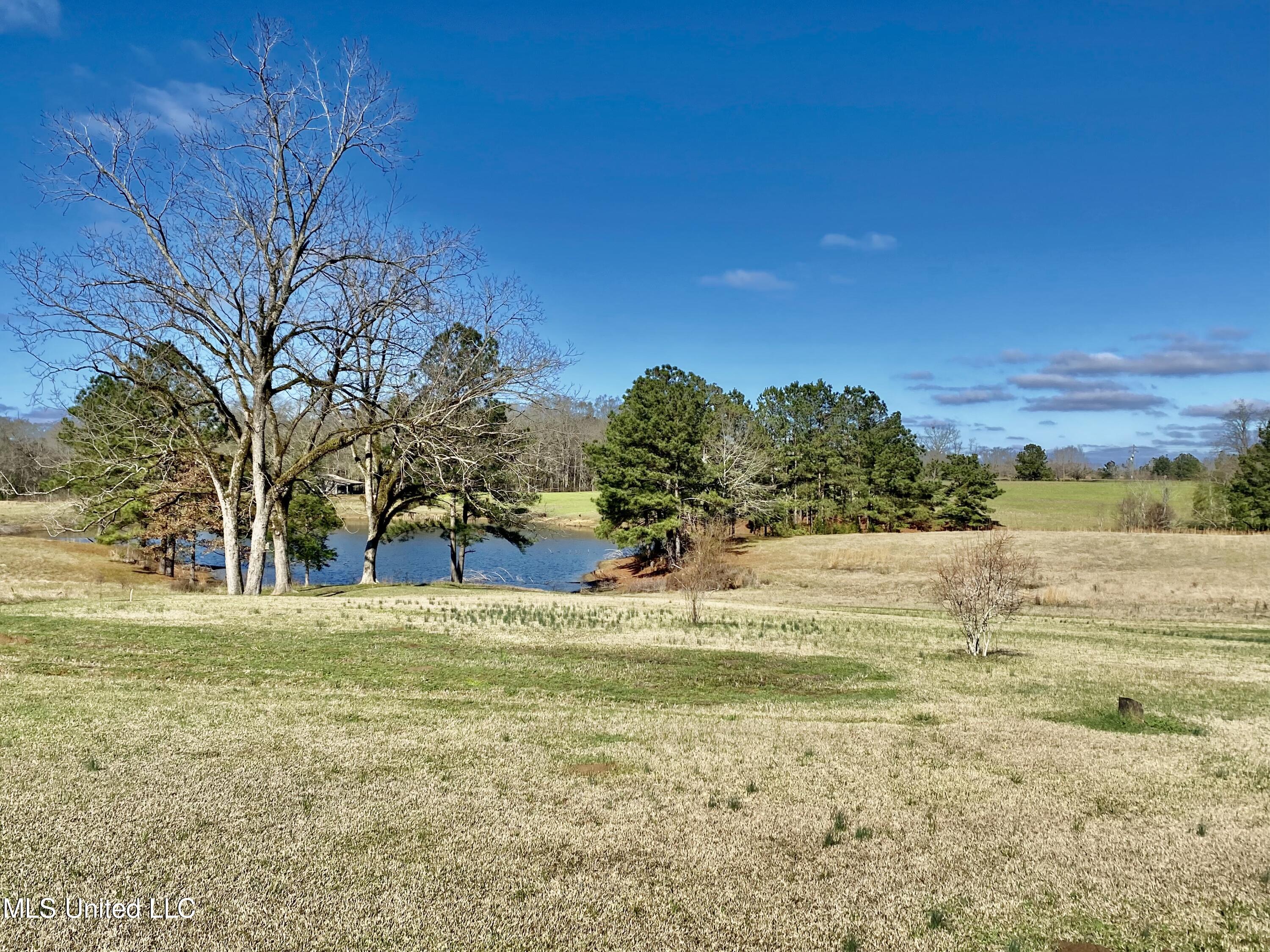 2168 Earl Knight Road Crystal Springs, MS 39059 - Photo 7 of 49 270EDD7C-4B1F-47BB-9020-001AC038E3CB