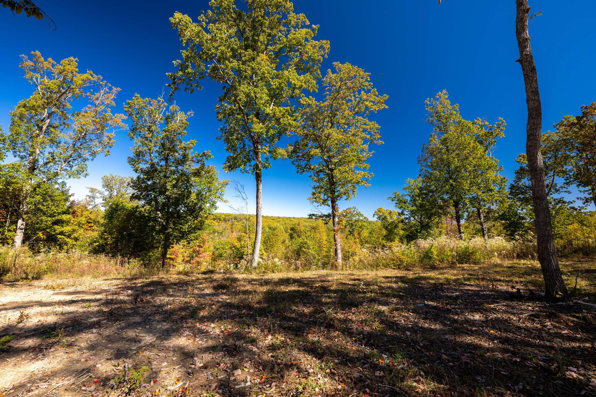 482 Coke Bowman Road Soddy Daisy, TN 37379 - Photo 25 of 27 25-web-or-mls-DSC_5841-142