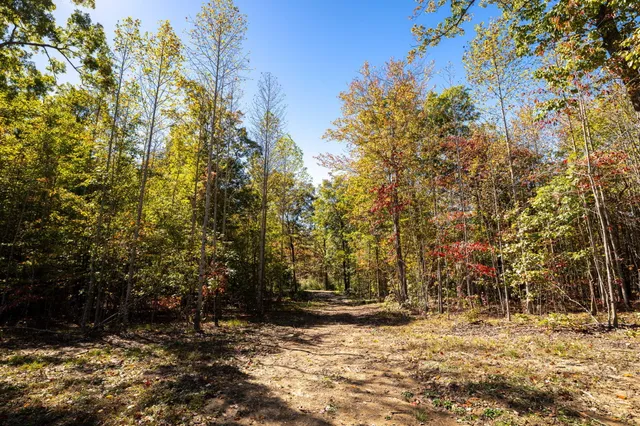 $400,000 | 482 Coke Bowman Road, Soddy Daisy, TN 37379