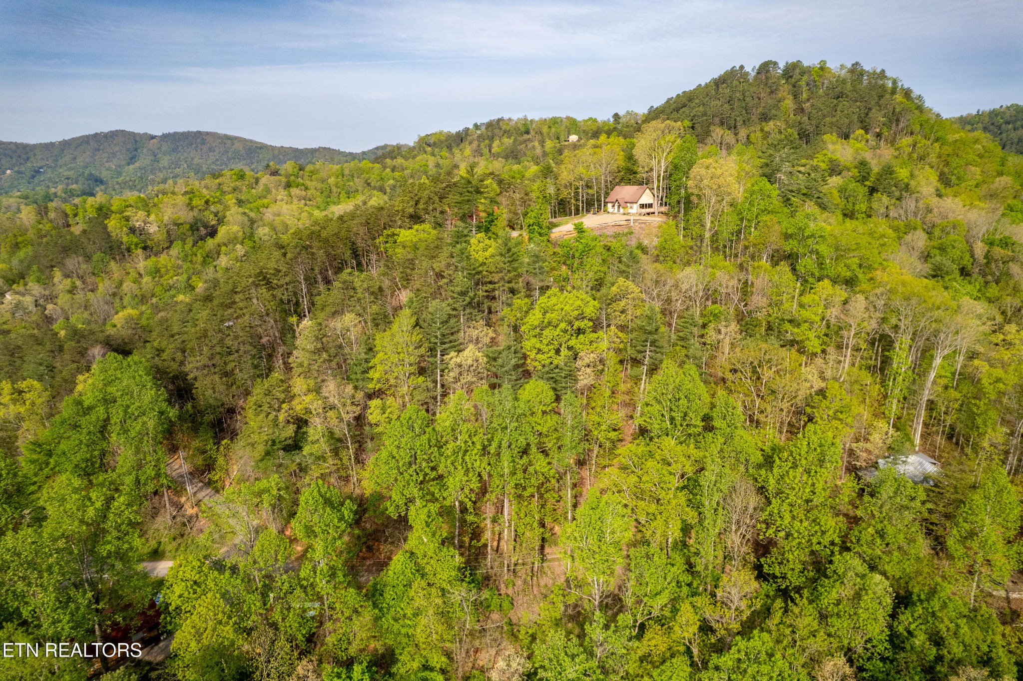 240 Mt Luke Road Townsend, TN 37882 - Photo 16 of 24 Gallery Image 16