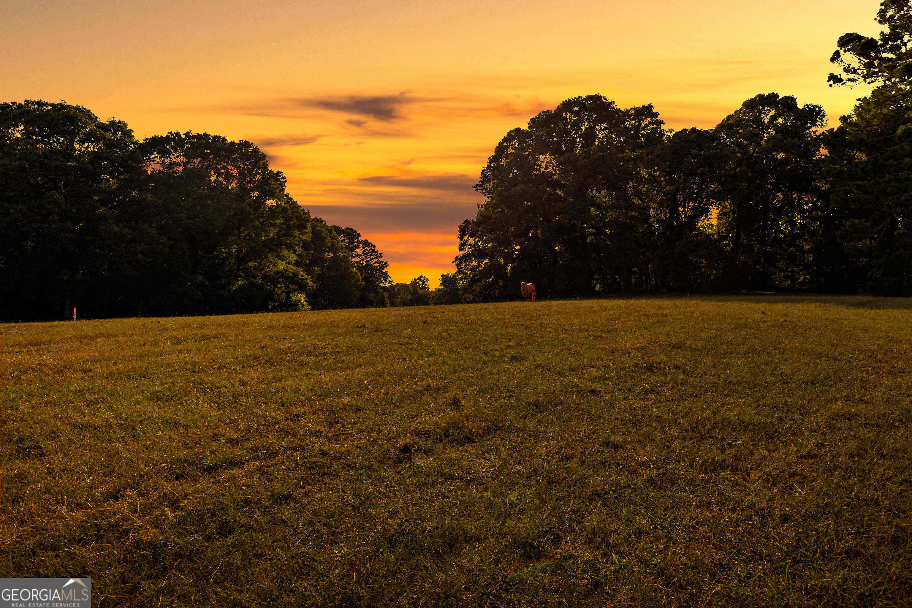 Gorgeous Sunset On The Farm!