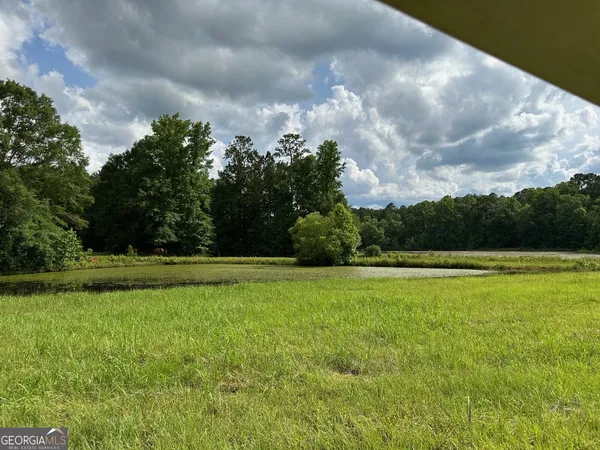 a big yard with lots of green space and trees