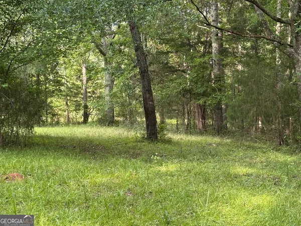 a view of an ocean from a yard