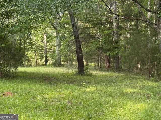 $1,135,980 | 4091 Hollonville Road, Williamson, GA 30292