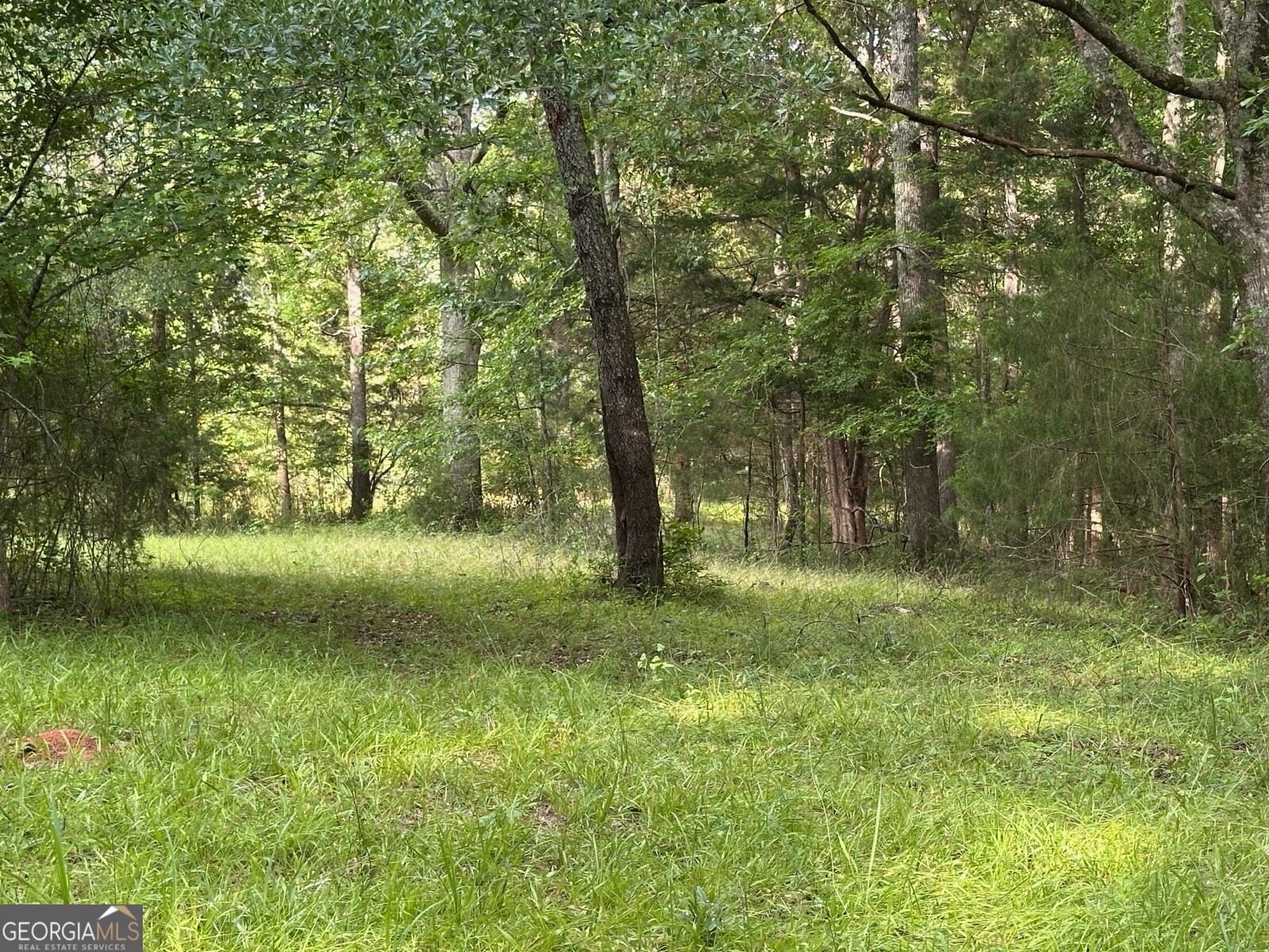 4091 Hollonville Road Williamson, GA 30292 - Photo 12 of 65 a big yard with lots of green space and trees