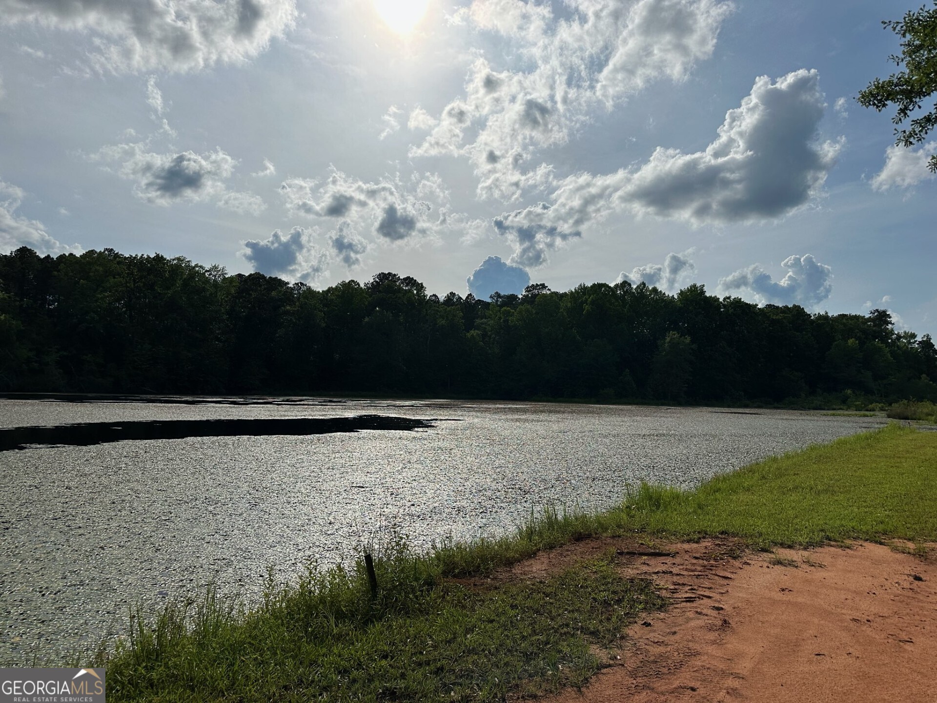 4091 Hollonville Road Williamson, GA 30292 - Photo 13 of 65