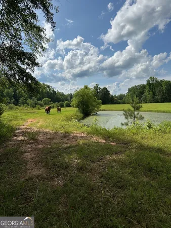 a view of lake with green space