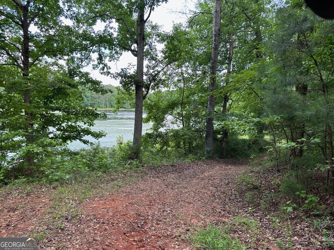 4091 Hollonville Road Williamson, GA 30292 - Photo 20 of 65 a view of a forest with trees in the background