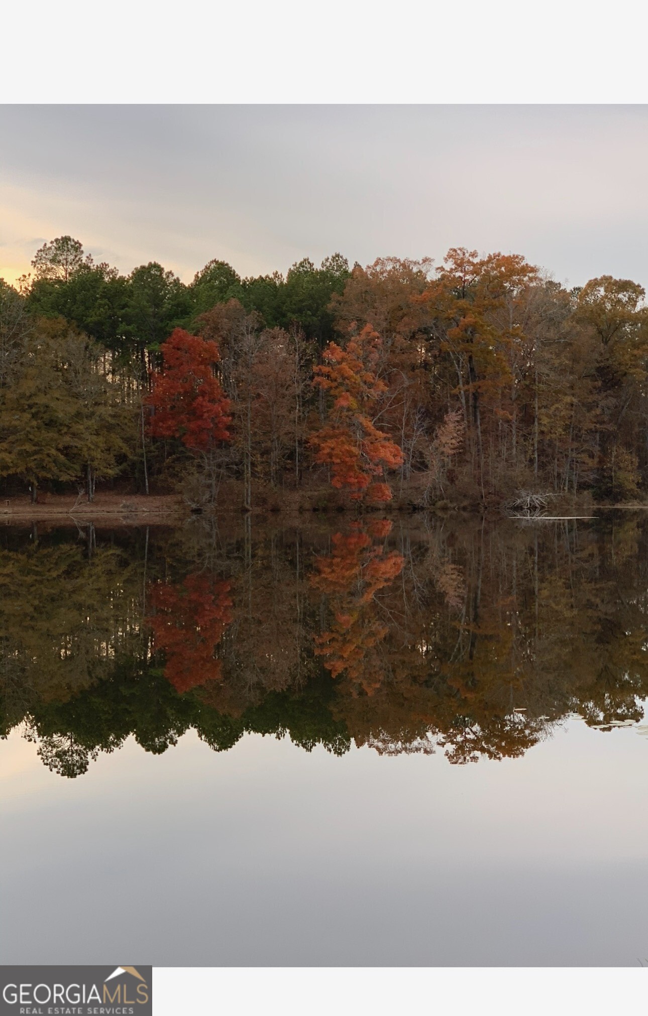 4091 Hollonville Road Williamson, GA 30292 - Photo 21 of 65