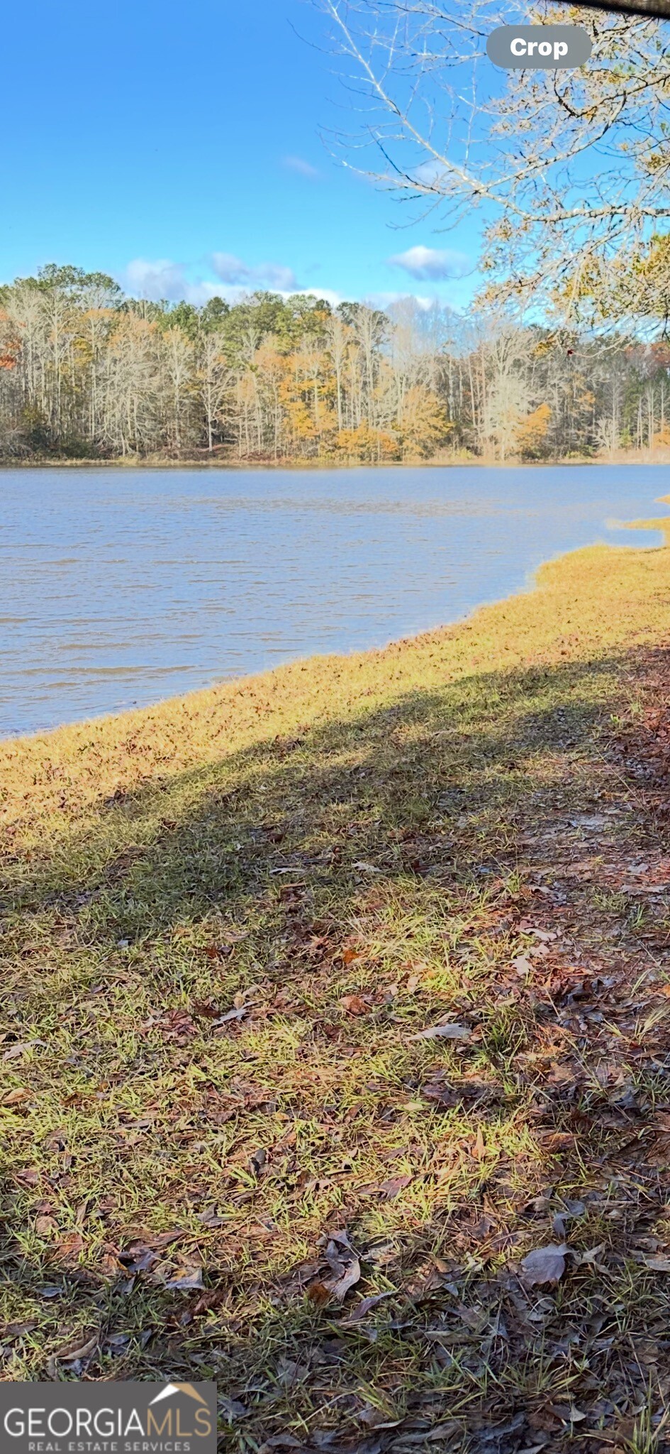 4091 Hollonville Road Williamson, GA 30292 - Photo 22 of 65