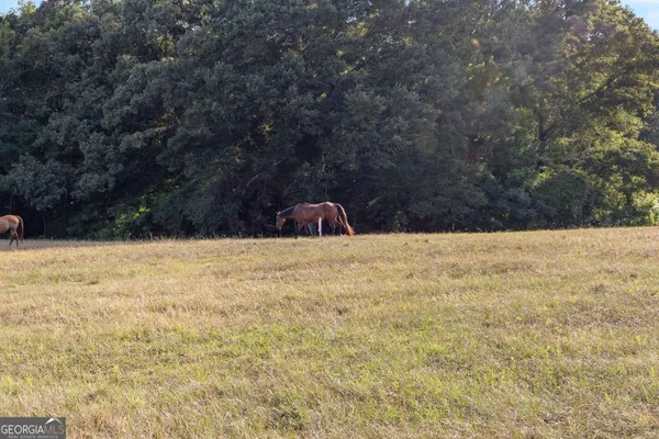 a view of a lake with a yard