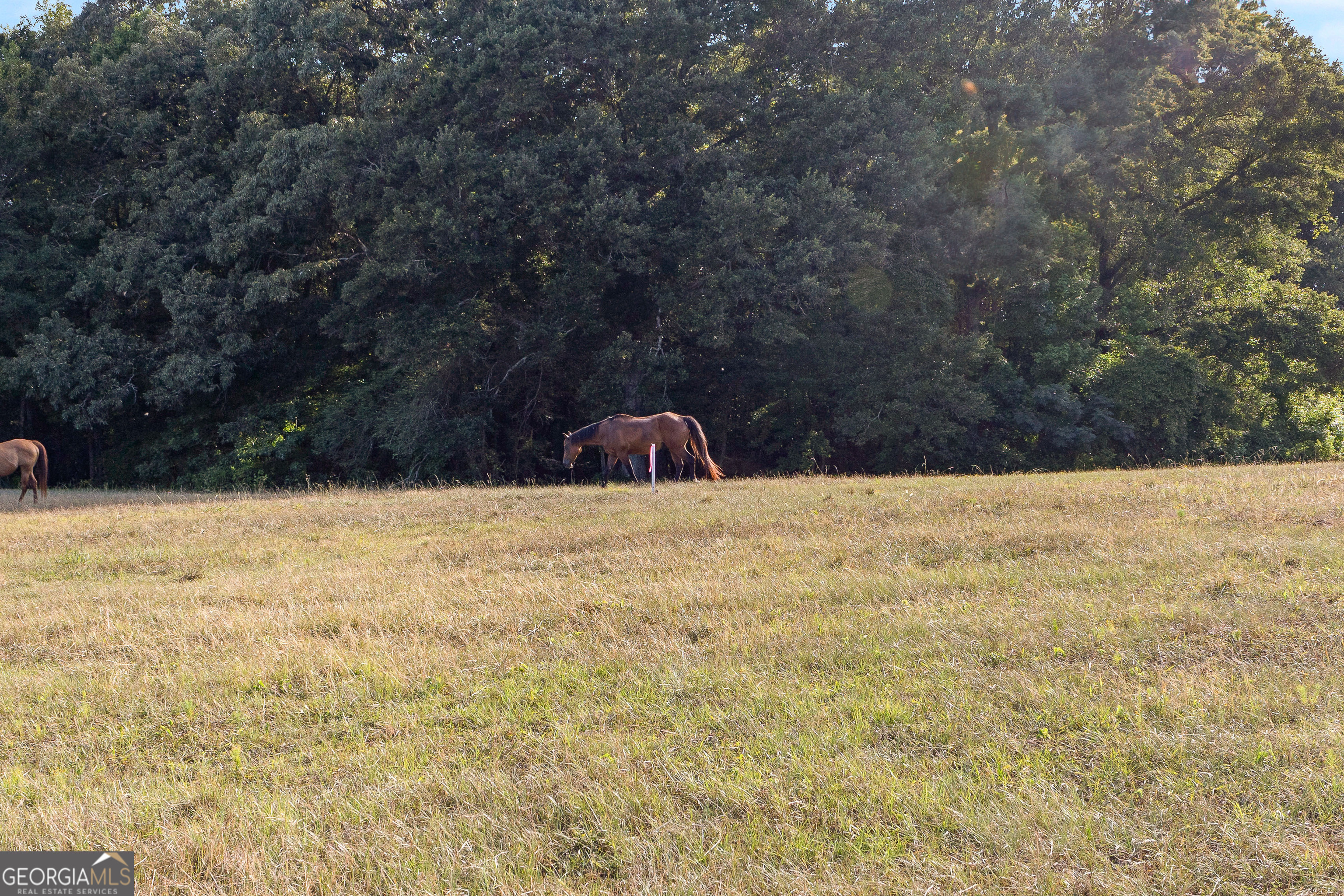 4091 Hollonville Road Williamson, GA 30292 - Photo 24 of 65