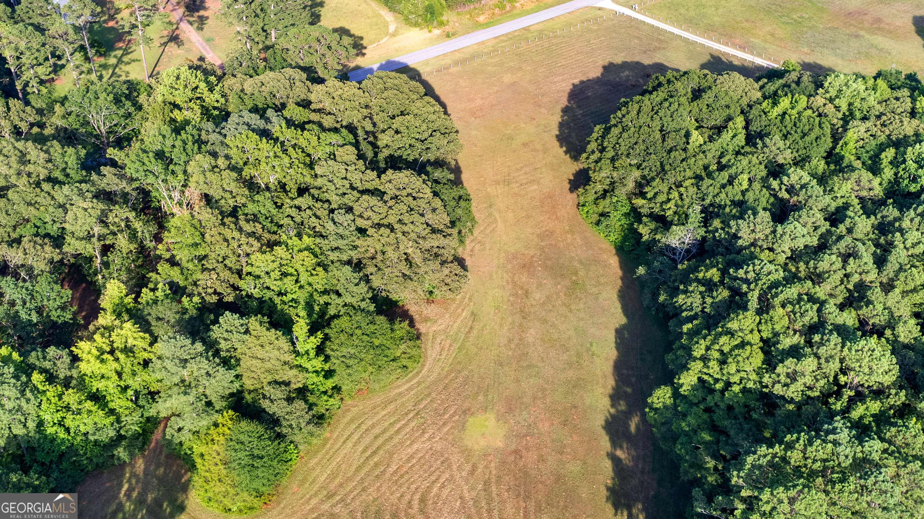 4091 Hollonville Road Williamson, GA 30292 - Photo 25 of 65 a view of a garden