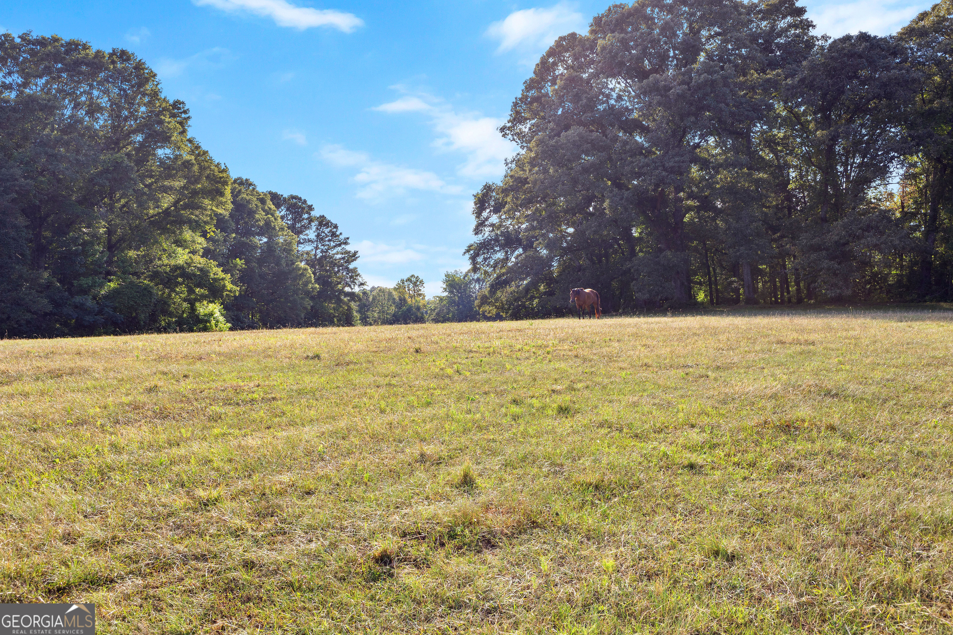 4091 Hollonville Road Williamson, GA 30292 - Photo 26 of 65 a view of yard with swimming pool and trees