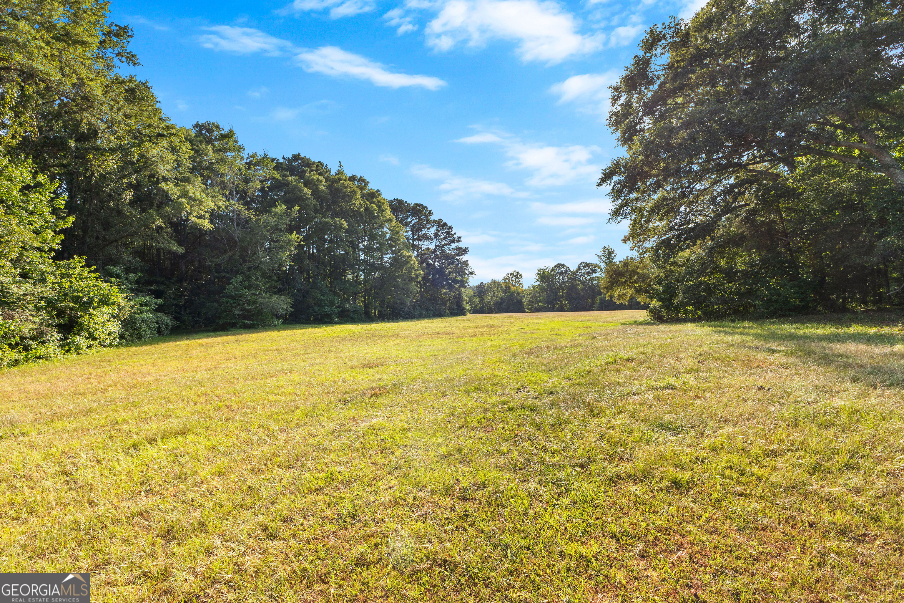 4091 Hollonville Road Williamson, GA 30292 - Photo 29 of 65 a view of a swimming pool and an outdoor space