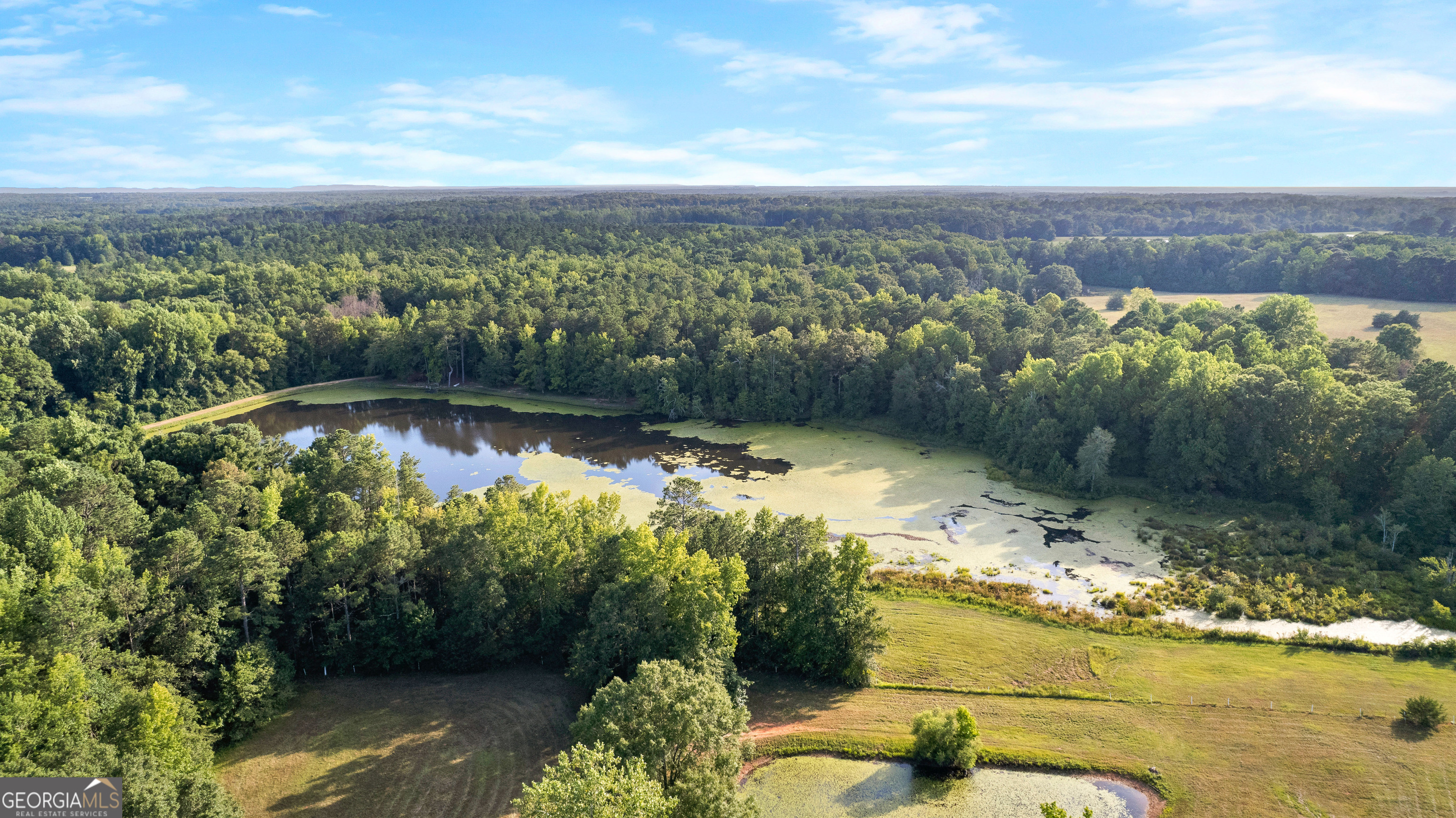 4091 Hollonville Road Williamson, GA 30292 - Photo 31 of 65 a view of a lake with a yard