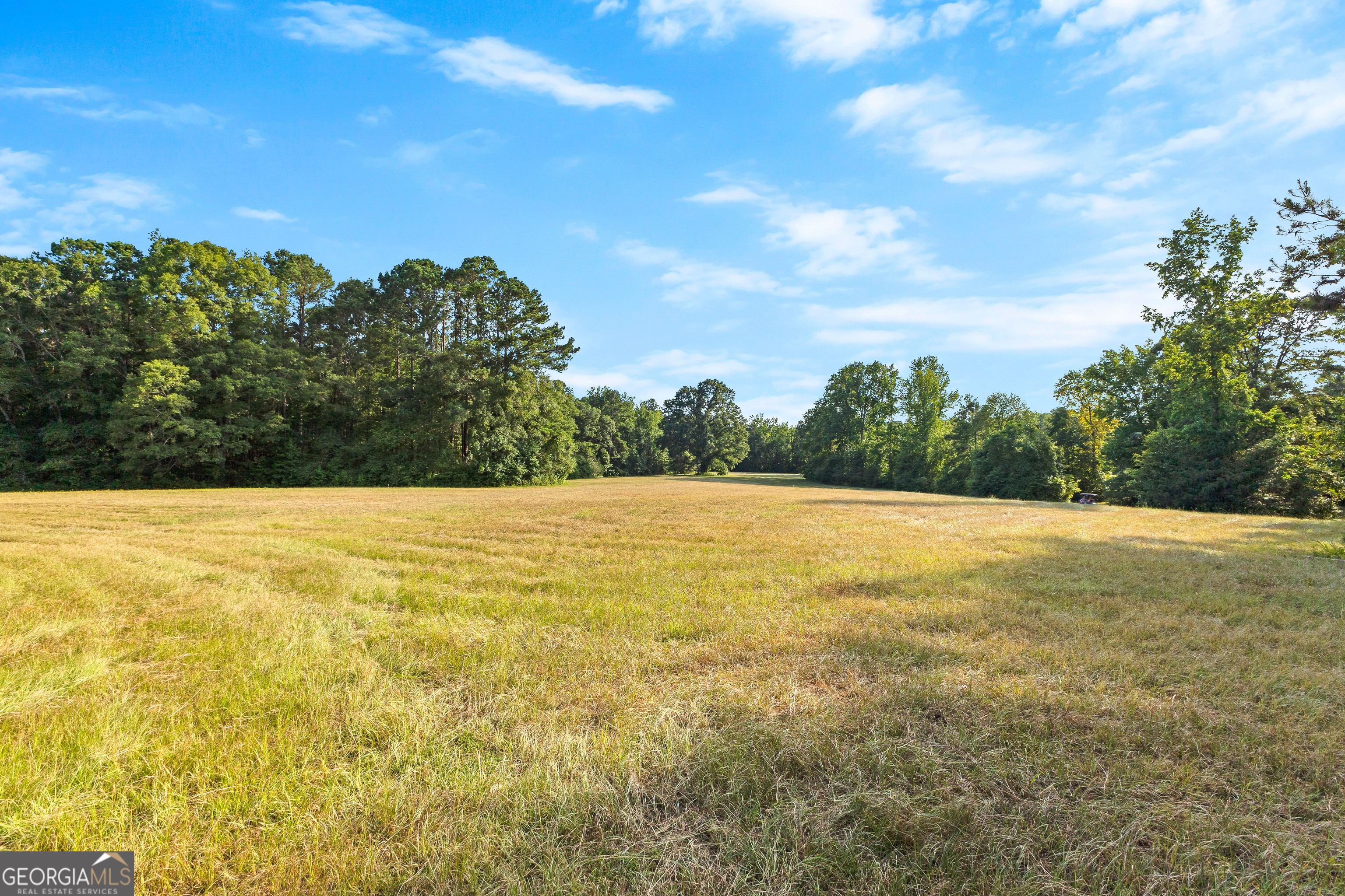 4091 Hollonville Road Williamson, GA 30292 - Photo 32 of 65 a view of outdoor space and yard