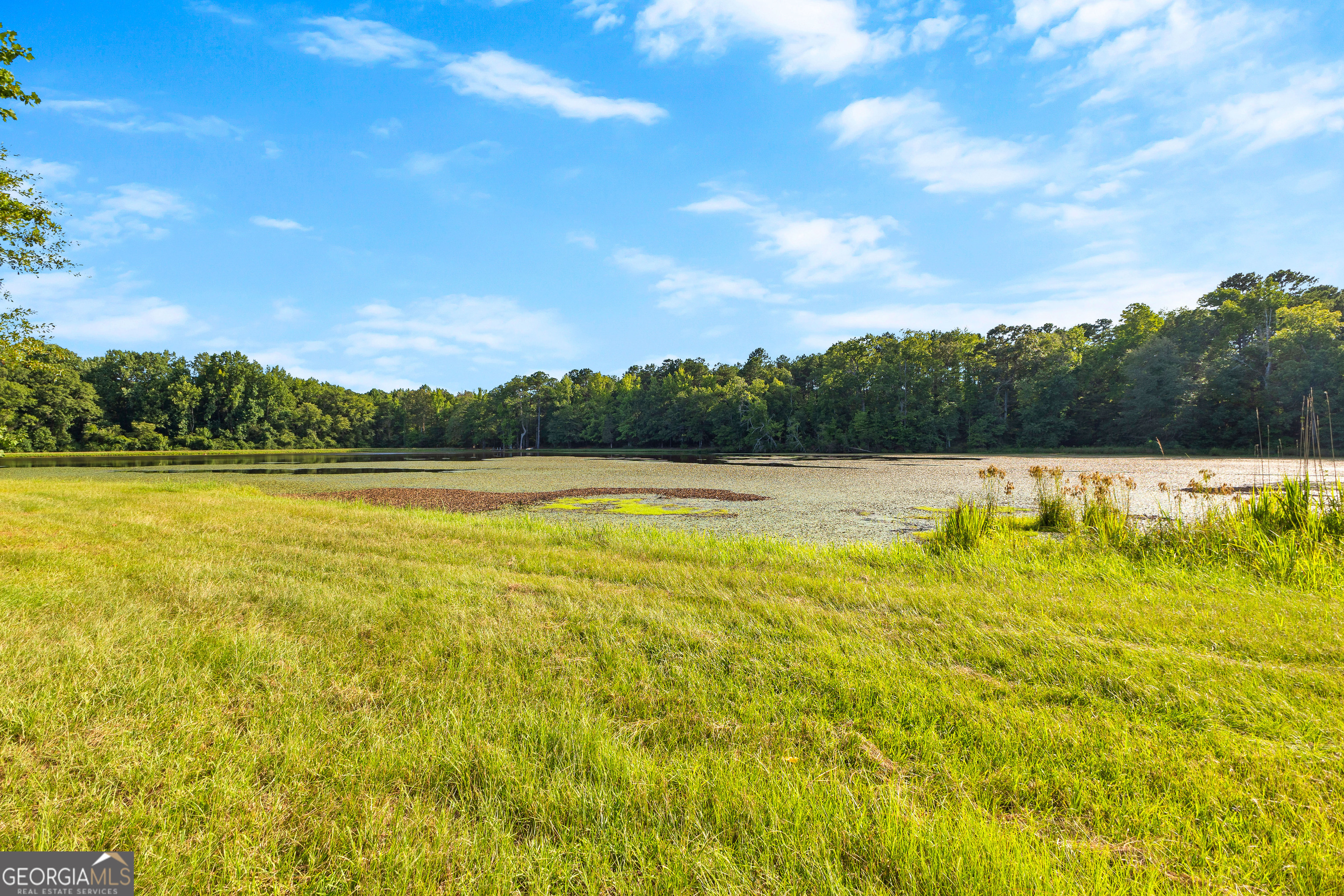 4091 Hollonville Road Williamson, GA 30292 - Photo 35 of 65 a view of a lake view