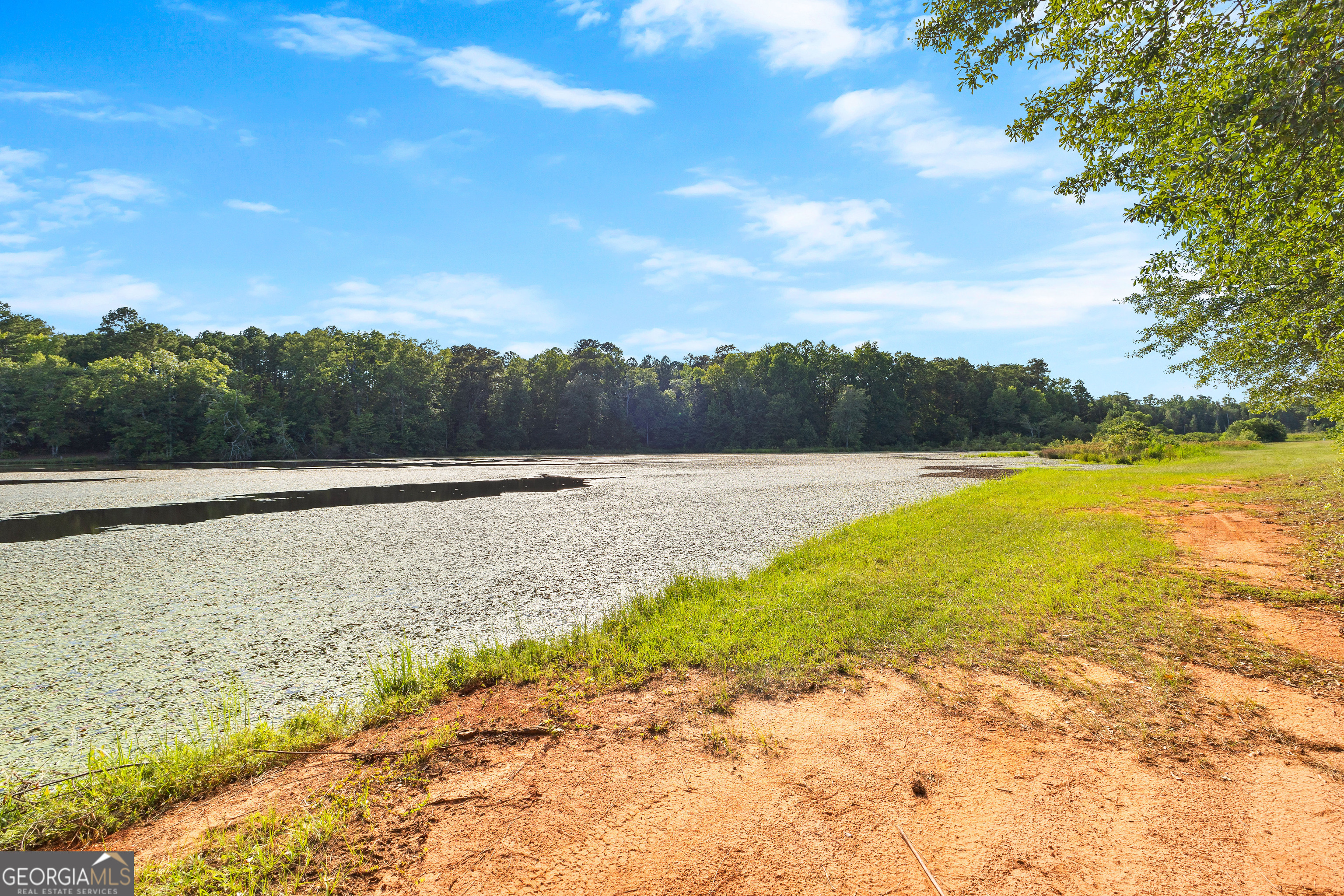 4091 Hollonville Road Williamson, GA 30292 - Photo 37 of 65