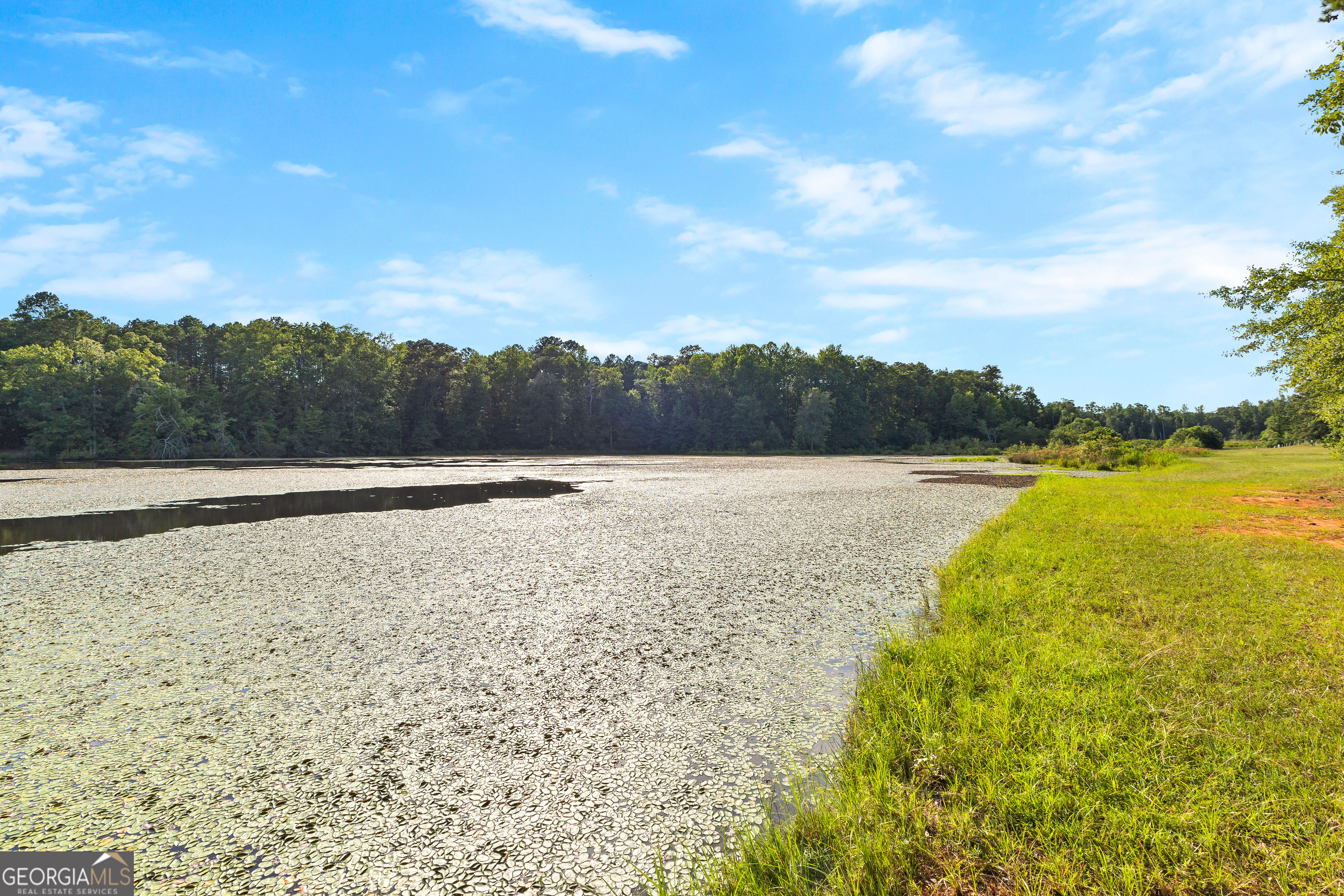 4091 Hollonville Road Williamson, GA 30292 - Photo 39 of 65 a view of lake and mountain