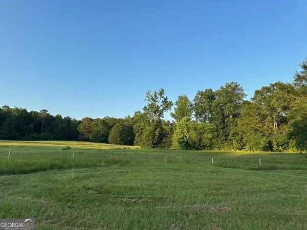 a view of a grassy field with trees