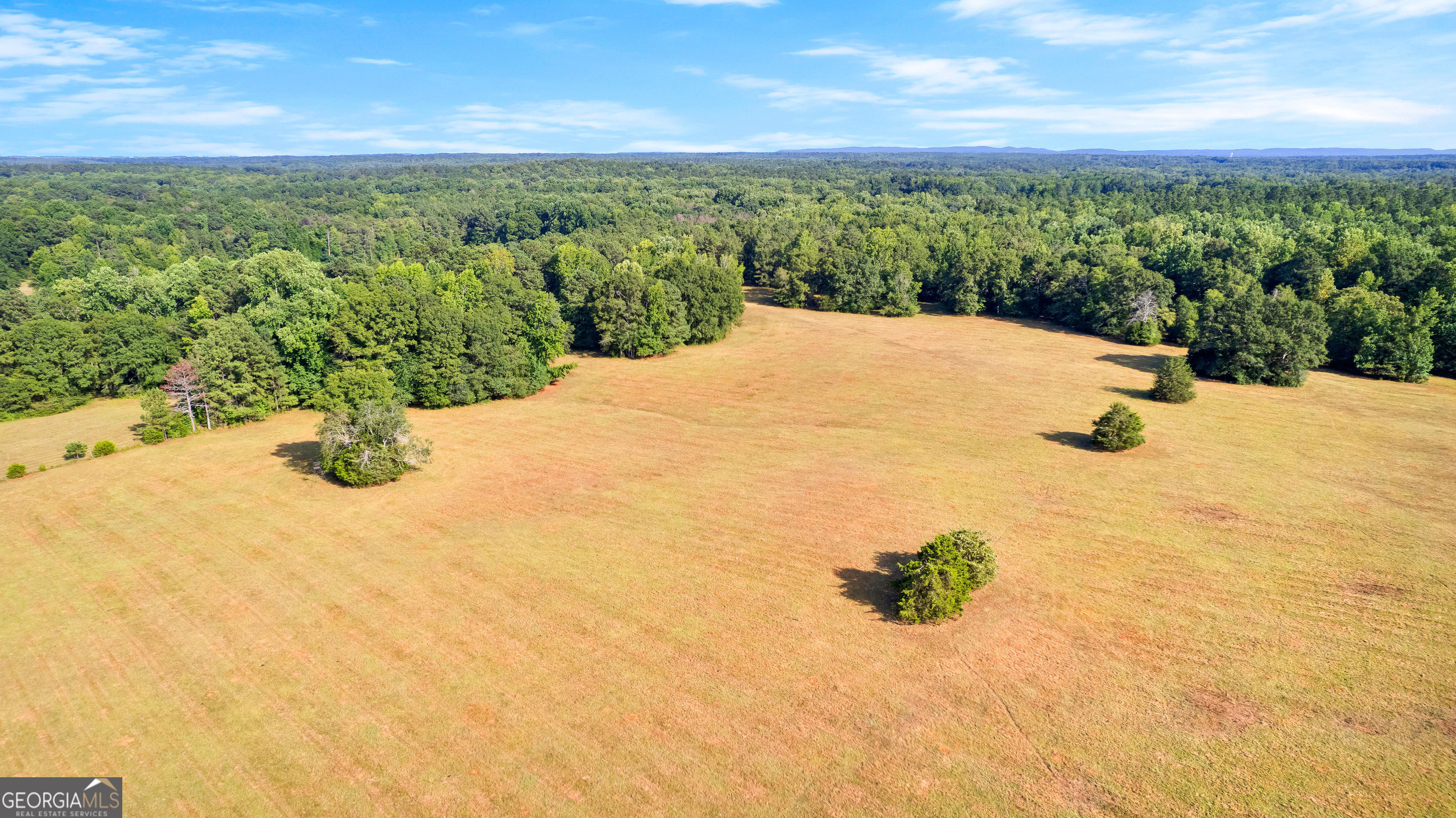 4091 Hollonville Road Williamson, GA 30292 - Photo 45 of 65 a view of outdoor space and yard