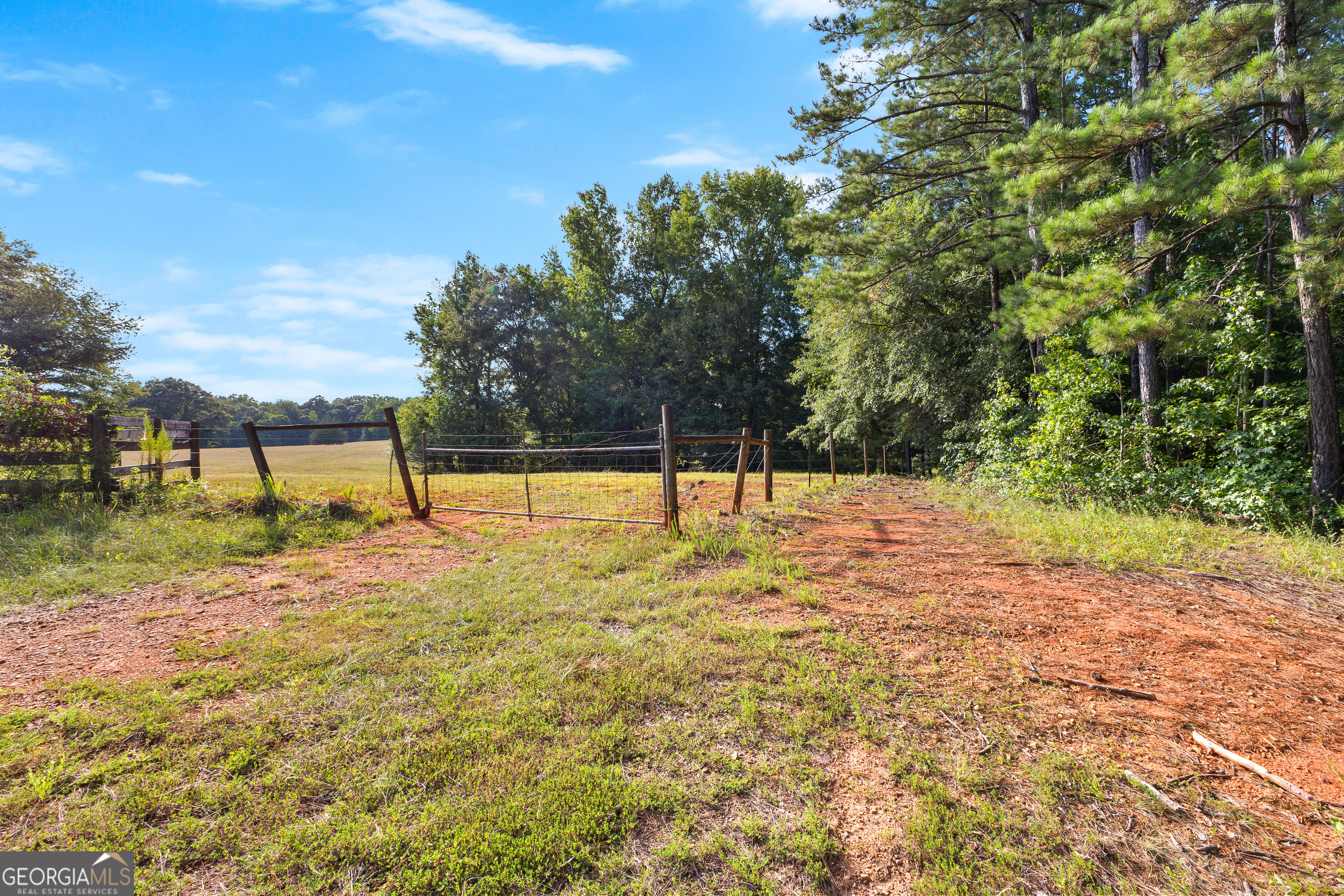 4091 Hollonville Road Williamson, GA 30292 - Photo 47 of 65 a view of a yard with a tree