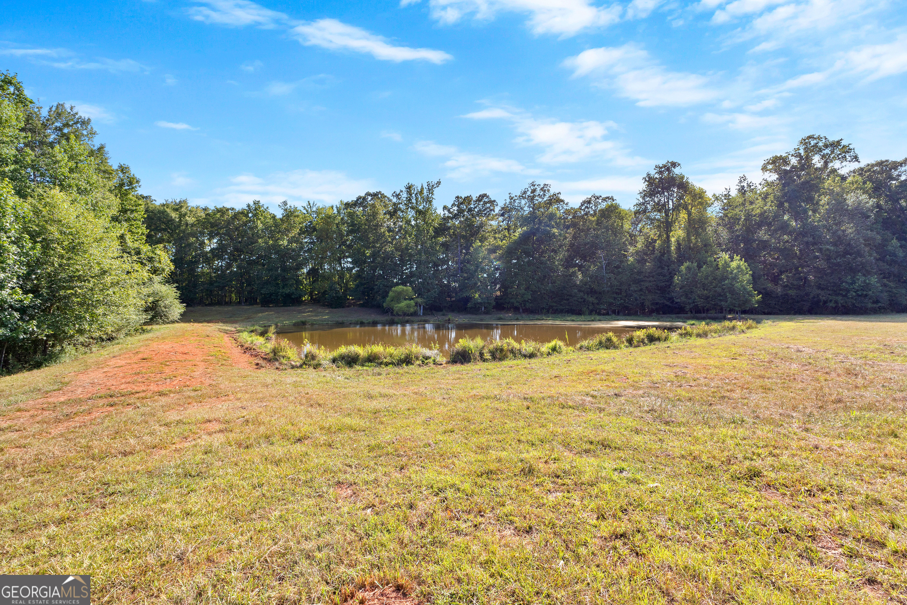 4091 Hollonville Road Williamson, GA 30292 - Photo 50 of 65 a view of a swimming pool and an outdoor space