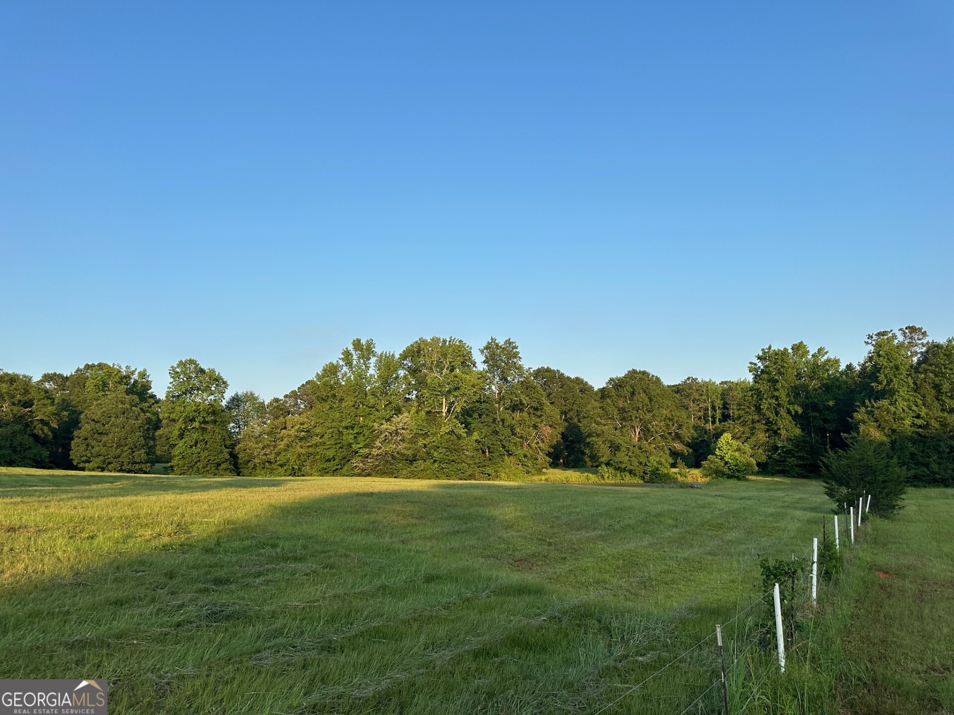 4091 Hollonville Road Williamson, GA 30292 - Photo 5 of 65 a view of a grassy field with trees